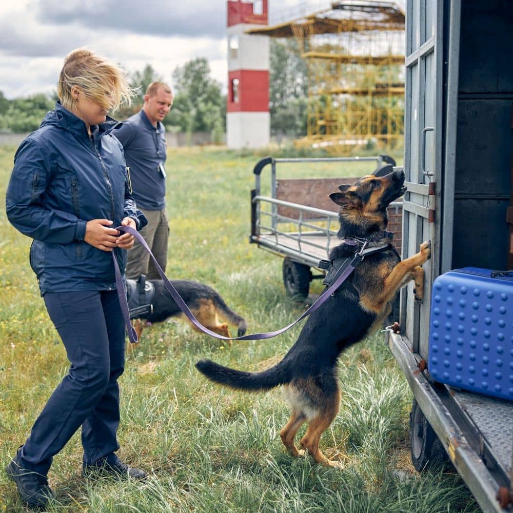 Beamt-er-in-Zolldienst-mittl-Dienst