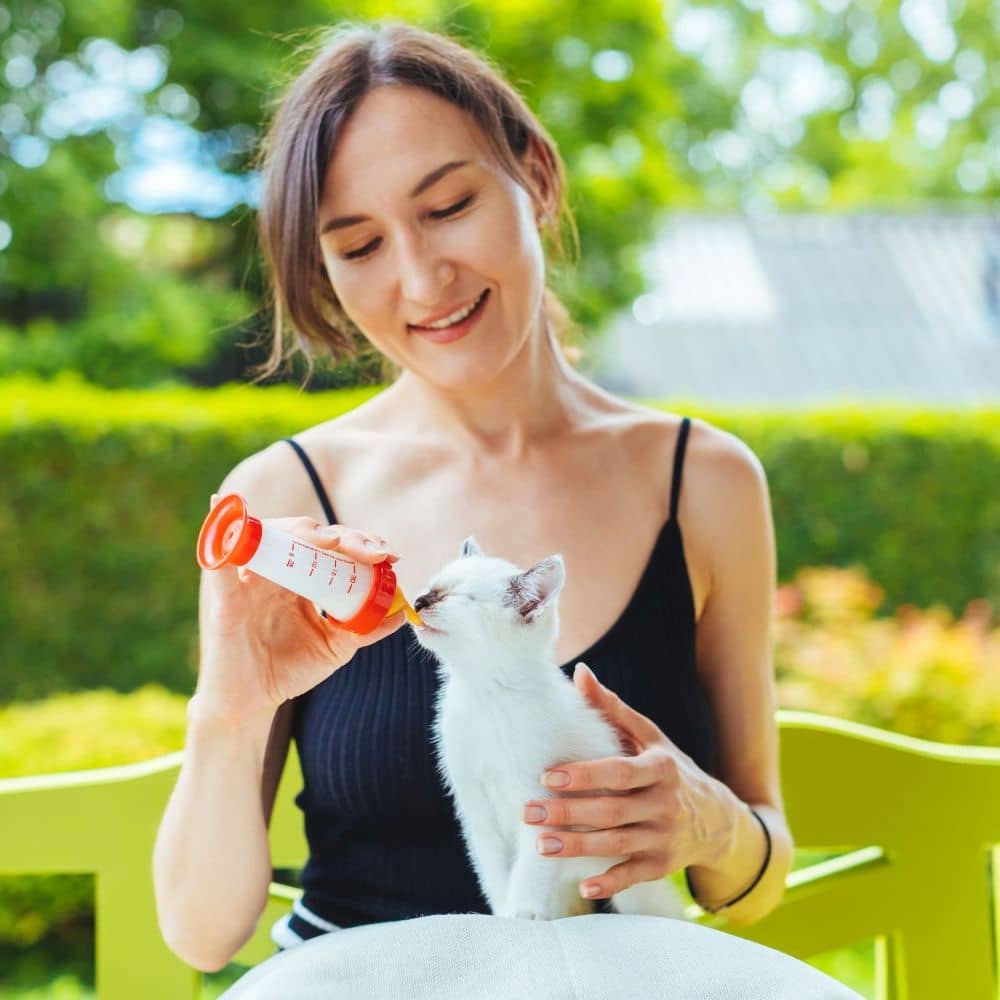 Katzensitter